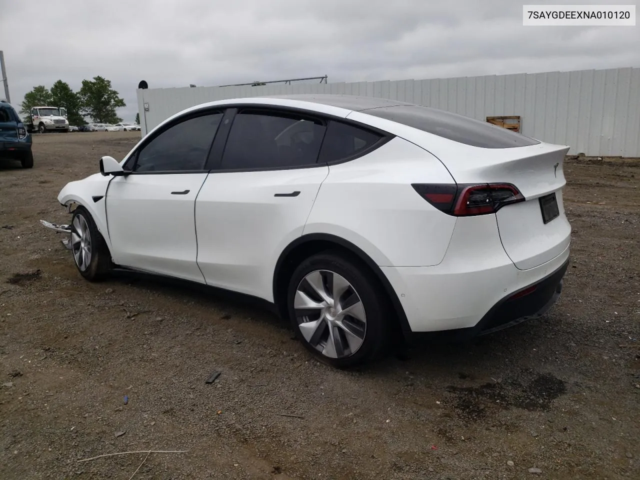 2022 Tesla Model Y VIN: 7SAYGDEEXNA010120 Lot: 65156054