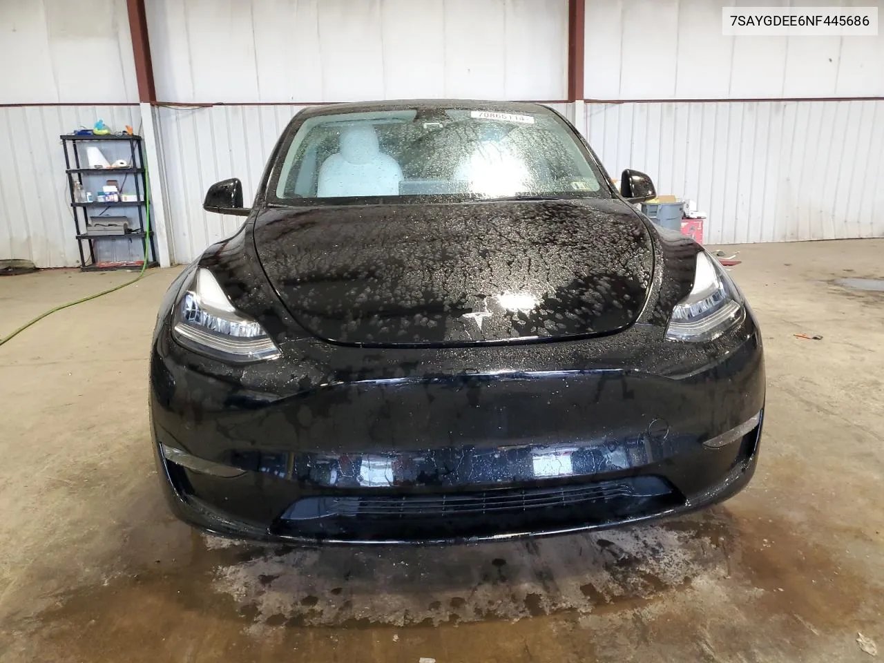 2022 Tesla Model Y VIN: 7SAYGDEE6NF445686 Lot: 70866114