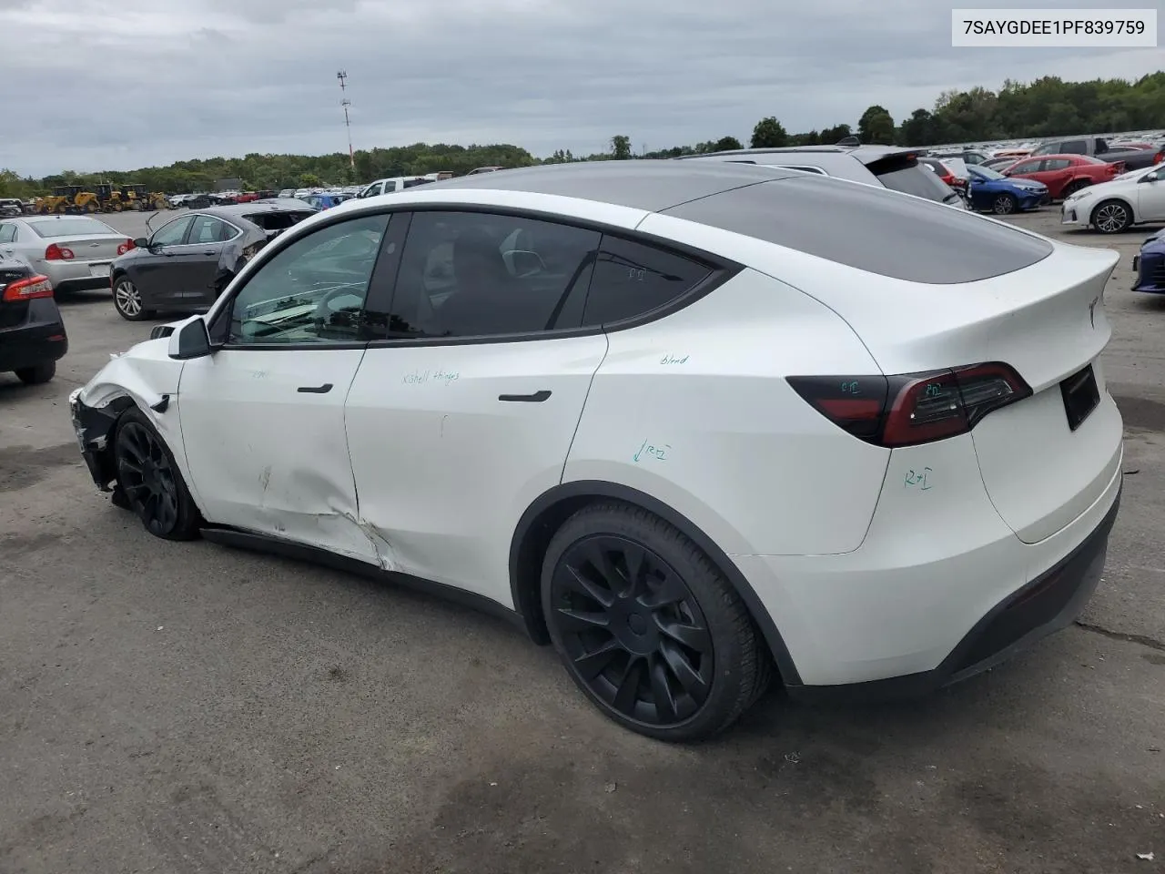 2023 Tesla Model Y VIN: 7SAYGDEE1PF839759 Lot: 70635624