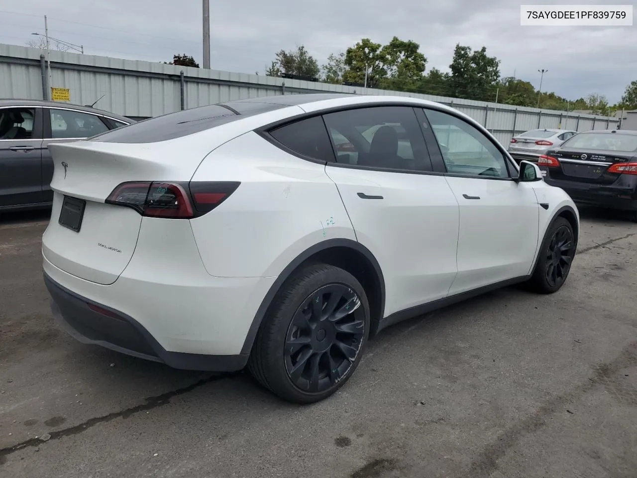 2023 Tesla Model Y VIN: 7SAYGDEE1PF839759 Lot: 70635624