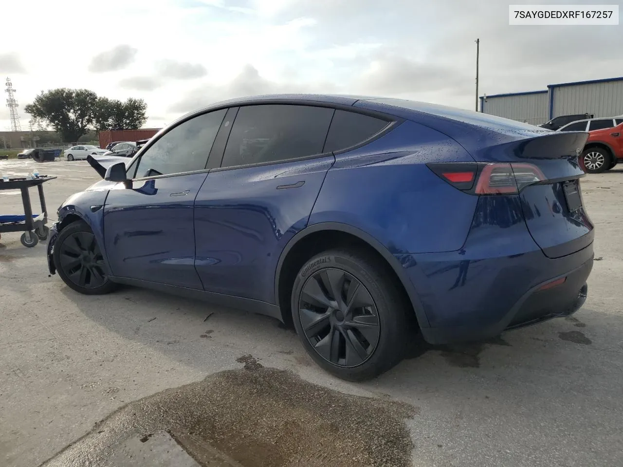 2024 Tesla Model Y VIN: 7SAYGDEDXRF167257 Lot: 71641124