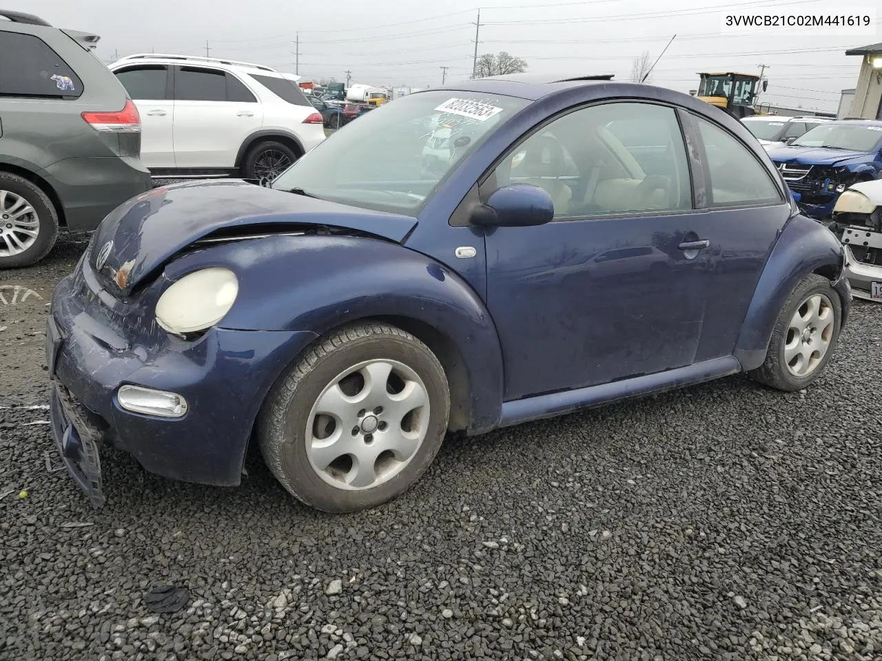 2002 Volkswagen New Beetle Gls VIN: 3VWCB21C02M441619 Lot: 82032563