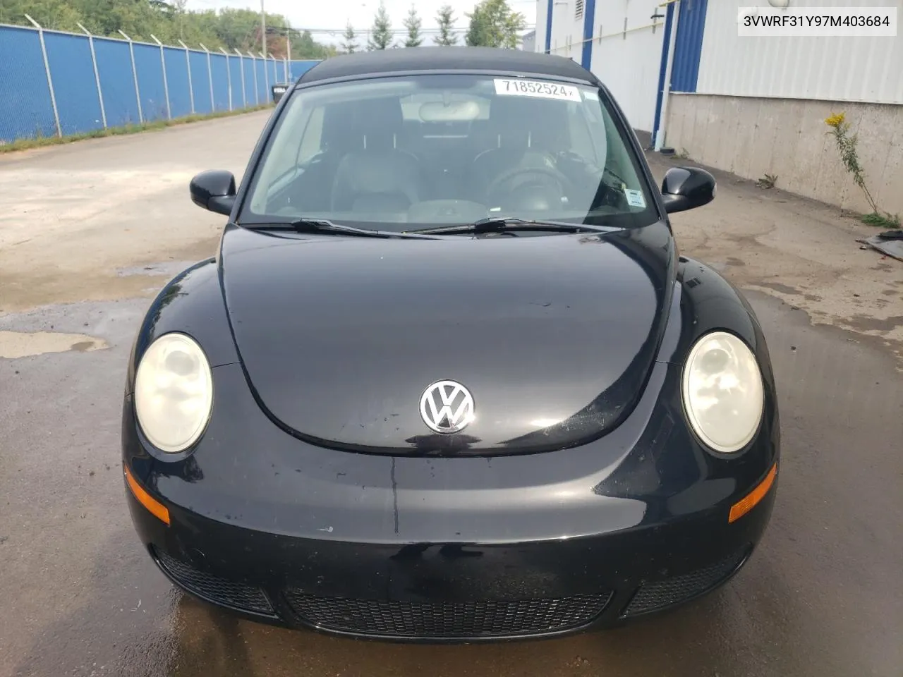 2007 Volkswagen New Beetle Convertible Option Package 1 VIN: 3VWRF31Y97M403684 Lot: 71852524