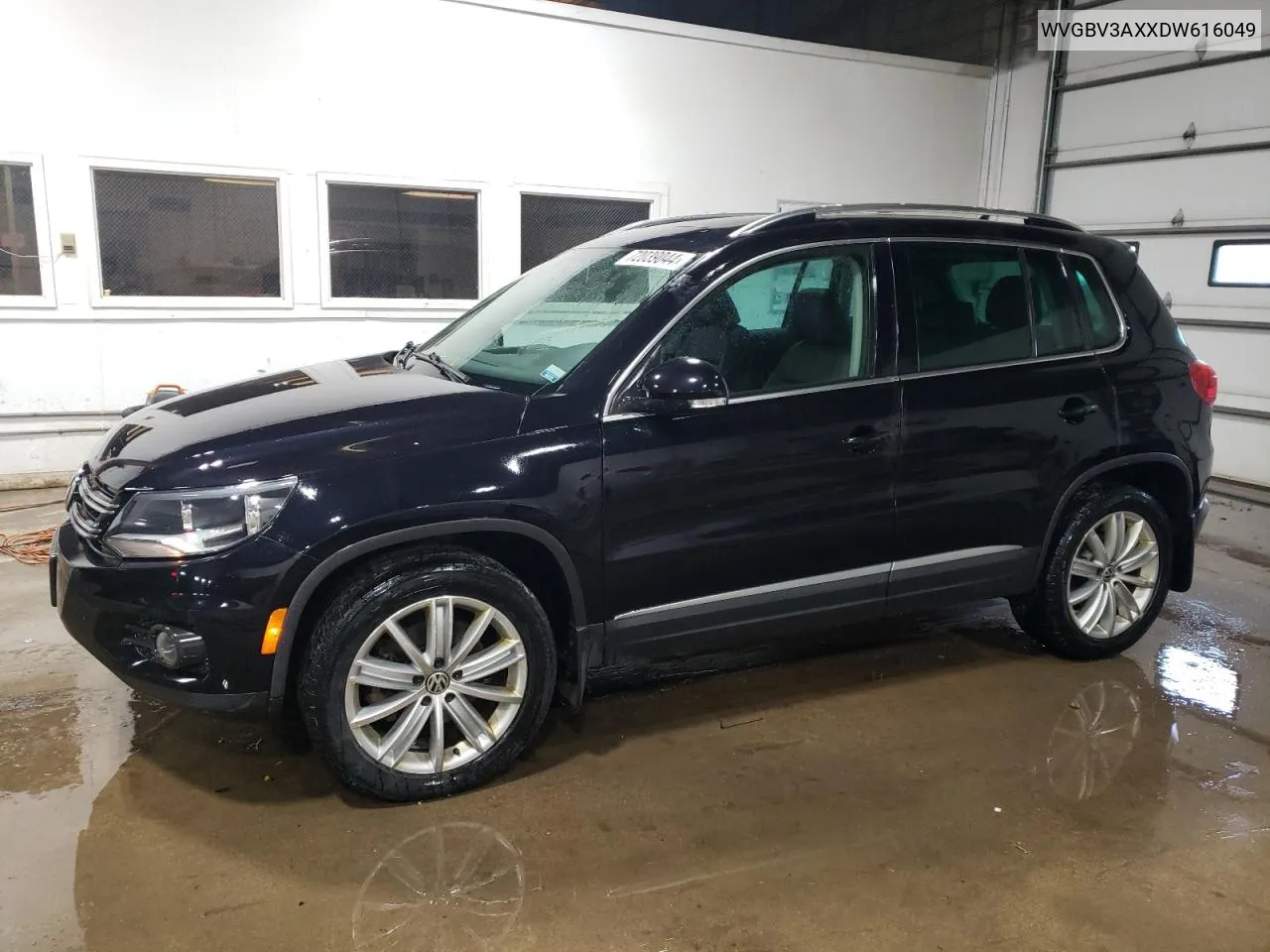 2013 Volkswagen Tiguan S VIN: WVGBV3AXXDW616049 Lot: 72039044