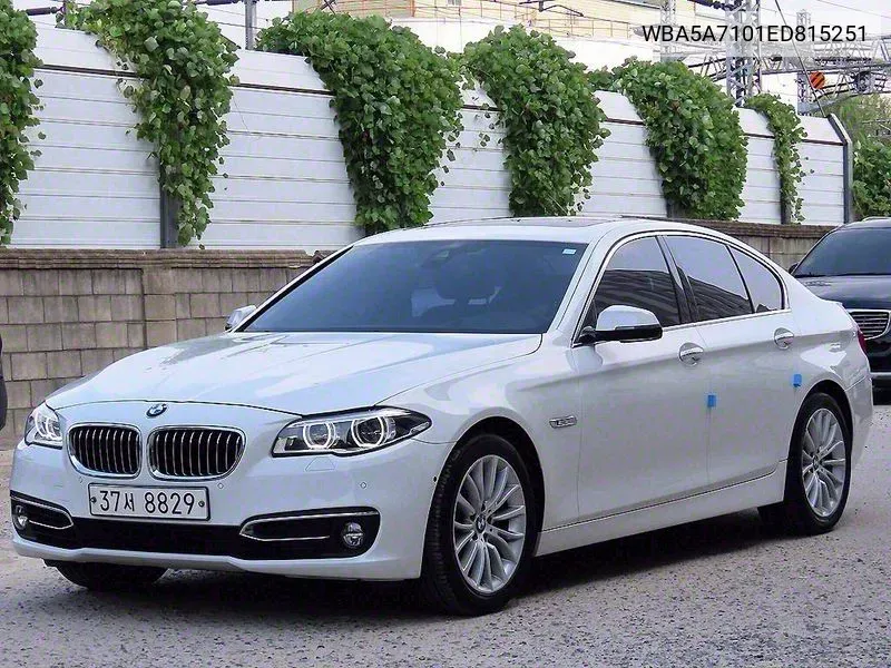 BMW 5 Series (F10) 528I xDrive Luxury VIN: WBA5A7101ED815251 Lot: 38193283