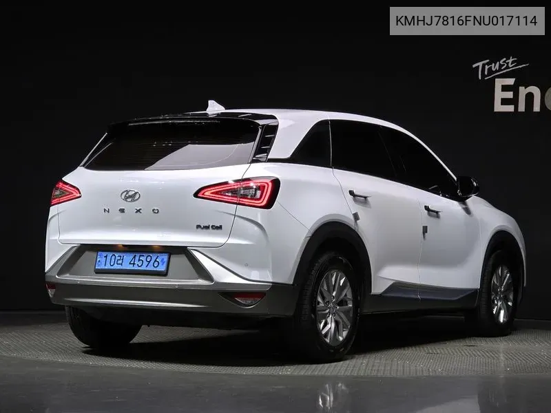 KMHJ7816FNU017114 Hyundai Nexo Modern