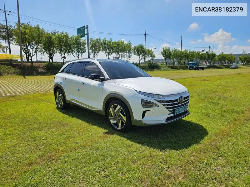 Hyundai Nexo Premium VIN: ENCAR38182379 Lot: 38182379