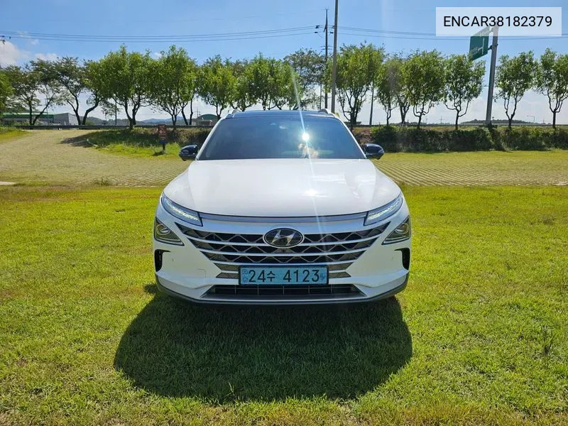 Hyundai Nexo Premium VIN: ENCAR38182379 Lot: 38182379