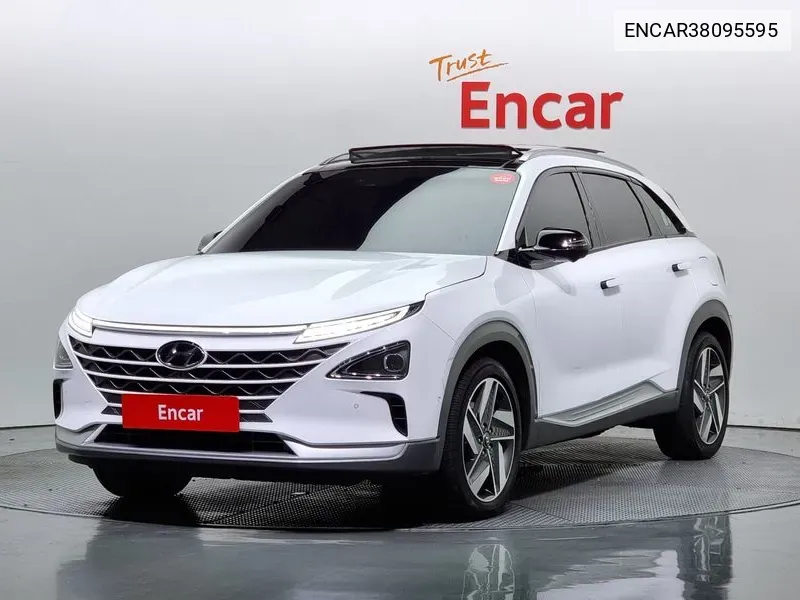 Hyundai Nexo Premium VIN: ENCAR38095595 Lot: 38095595