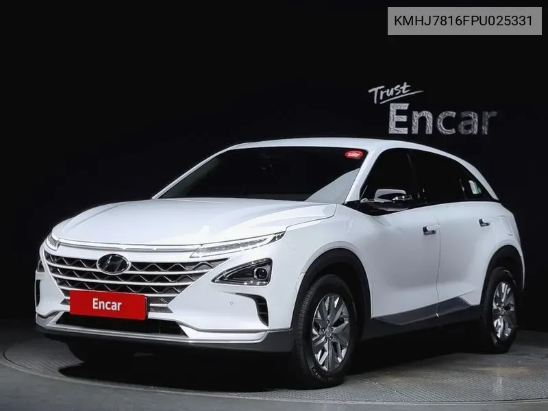 KMHJ7816FPU025331 Hyundai Nexo Modern