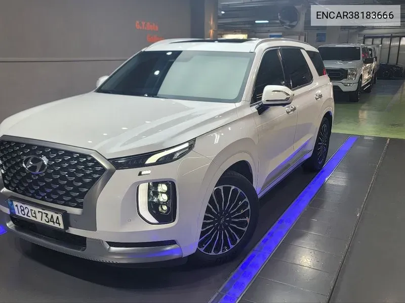 ENCAR38183666 Hyundai Palisade Diesel 2.2 4Wd Calligraphy