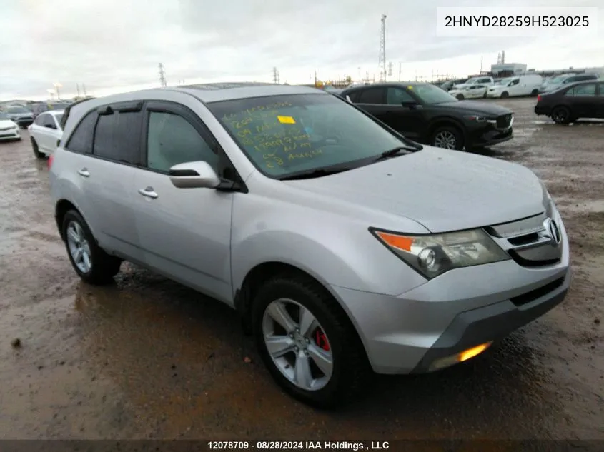 2009 Acura Mdx VIN: 2HNYD28259H523025 Lot: 12078709