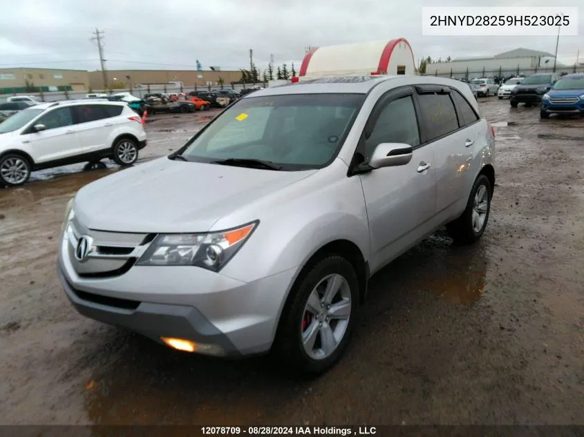 2009 Acura Mdx VIN: 2HNYD28259H523025 Lot: 12078709