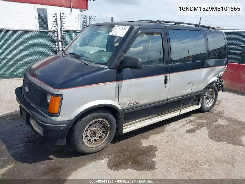 1991 Chevrolet Astro VIN: 1GNDM15Z9MB101865 Lot: 40341121