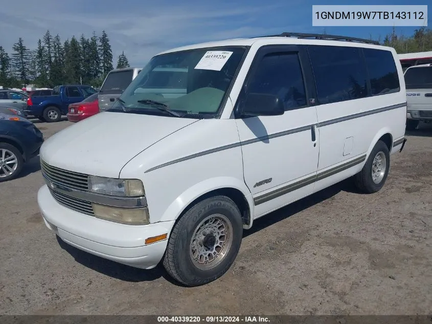 1996 Chevrolet Astro VIN: 1GNDM19W7TB143112 Lot: 40339220