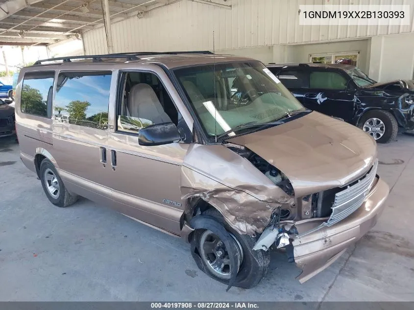 2002 Chevrolet Astro Ls VIN: 1GNDM19XX2B130393 Lot: 40197908