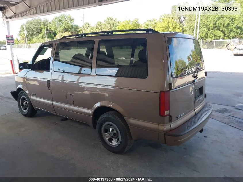 2002 Chevrolet Astro Ls VIN: 1GNDM19XX2B130393 Lot: 40197908