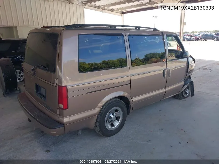 2002 Chevrolet Astro Ls VIN: 1GNDM19XX2B130393 Lot: 40197908