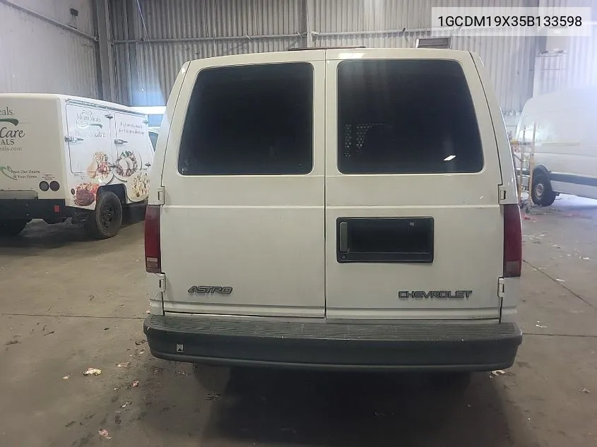 2005 Chevrolet Astro VIN: 1GCDM19X35B133598 Lot: 40361390