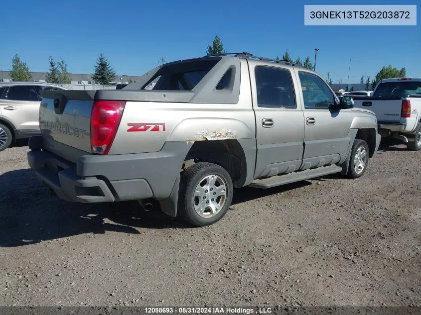 2002 Chevrolet Avalanche VIN: 3GNEK13T52G203872 Lot: 12088693