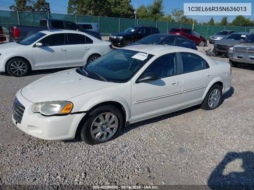 2005 Chrysler Sebring Limited VIN: 1C3EL66R35N636013 Lot: 40298808