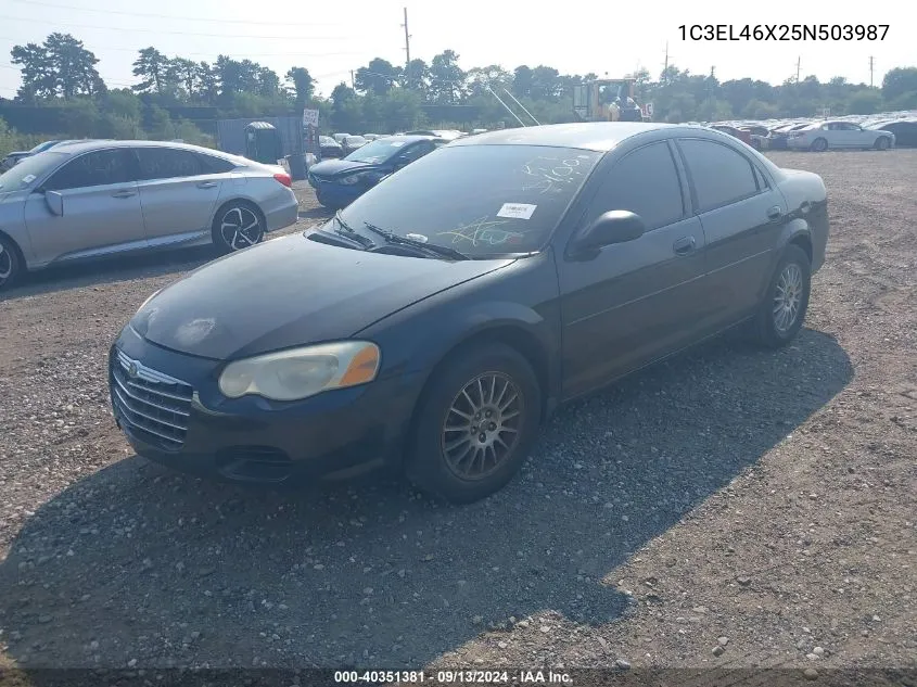 2005 Chrysler Sebring VIN: 1C3EL46X25N503987 Lot: 40351381