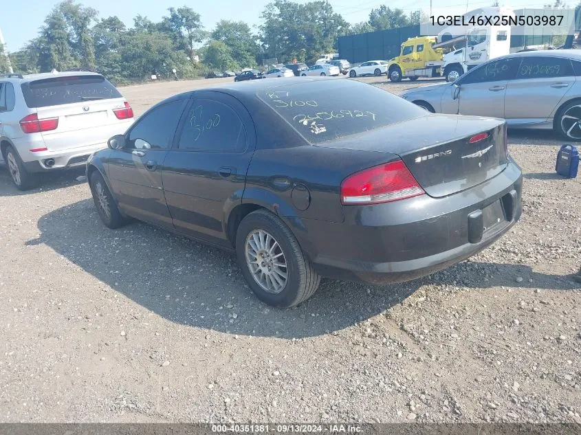 2005 Chrysler Sebring VIN: 1C3EL46X25N503987 Lot: 40351381