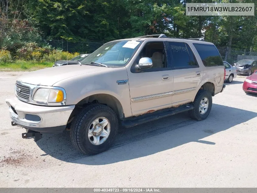 1998 Ford Expedition Eddie Bauer/Xlt VIN: 1FMRU18W3WLB22607 Lot: 40349723