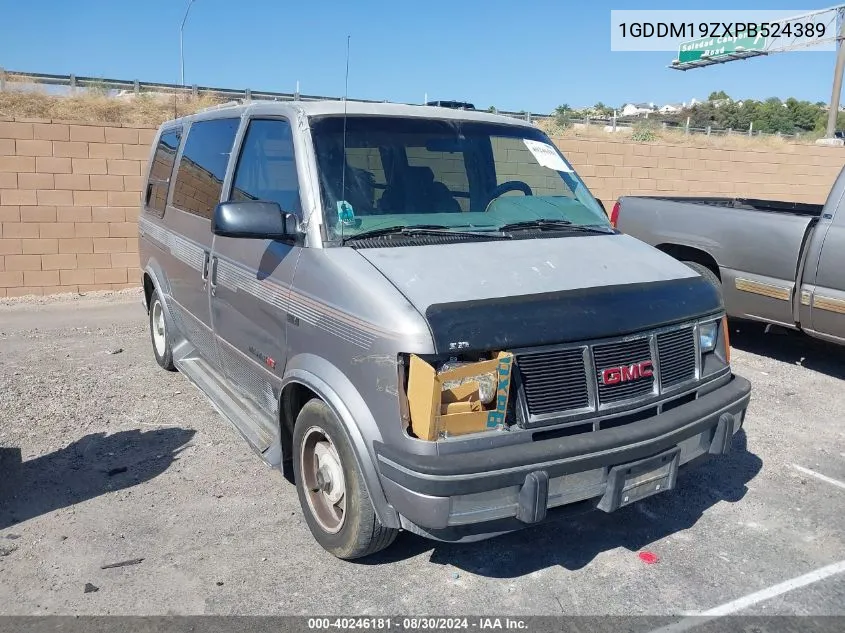 1993 GMC Safari Xt VIN: 1GDDM19ZXPB524389 Lot: 40246181