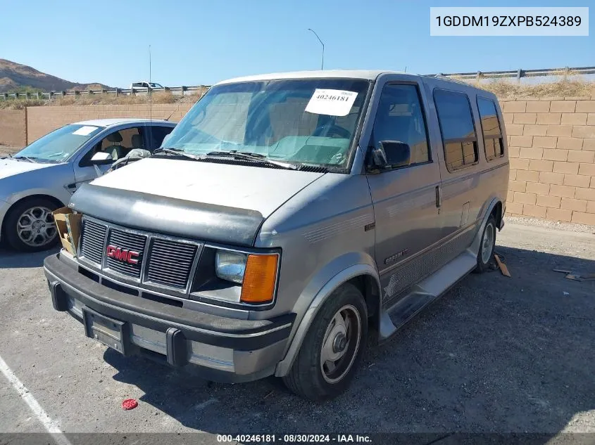 1993 GMC Safari Xt VIN: 1GDDM19ZXPB524389 Lot: 40246181