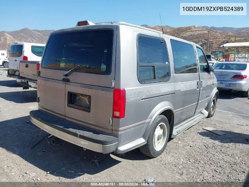 1993 GMC Safari Xt VIN: 1GDDM19ZXPB524389 Lot: 40246181