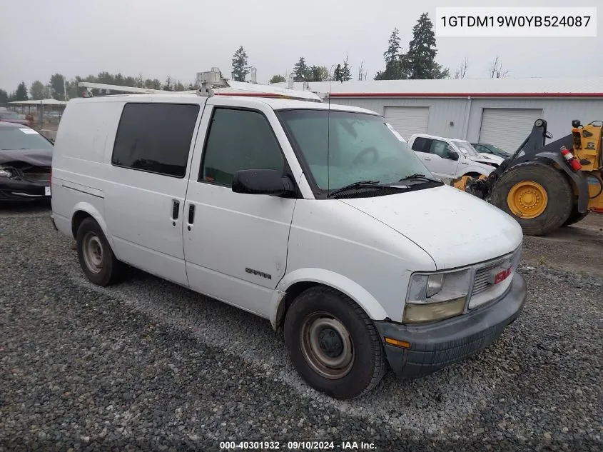 2000 GMC Safari Xt VIN: 1GTDM19W0YB524087 Lot: 40301932