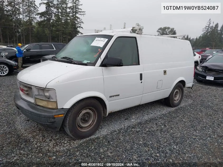 2000 GMC Safari Xt VIN: 1GTDM19W0YB524087 Lot: 40301932