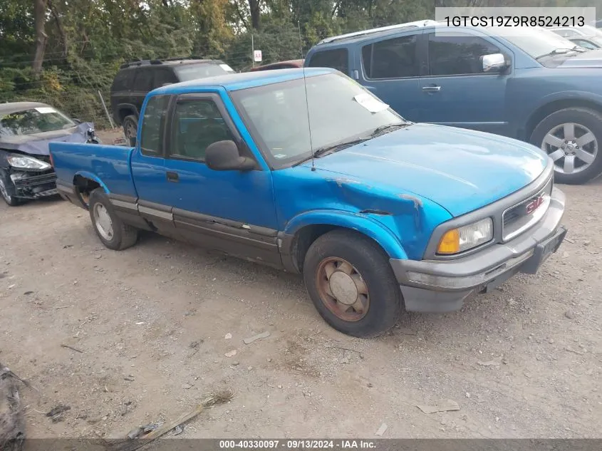 1994 GMC Sonoma VIN: 1GTCS19Z9R8524213 Lot: 40330097