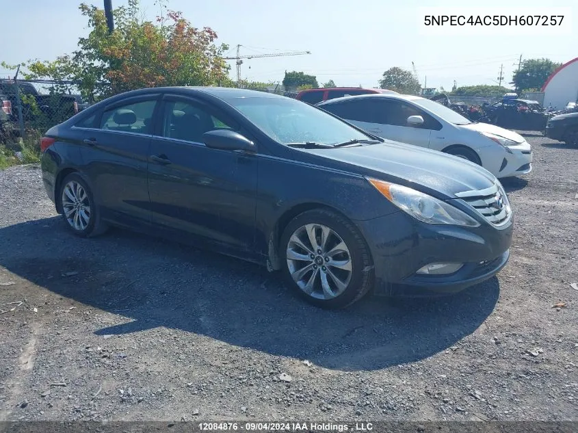 2013 Hyundai Sonata Se/Limited VIN: 5NPEC4AC5DH607257 Lot: 12084876