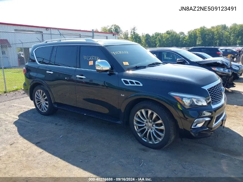 2016 Infiniti Qx80 VIN: JN8AZ2NE5G9123491 Lot: 40276688