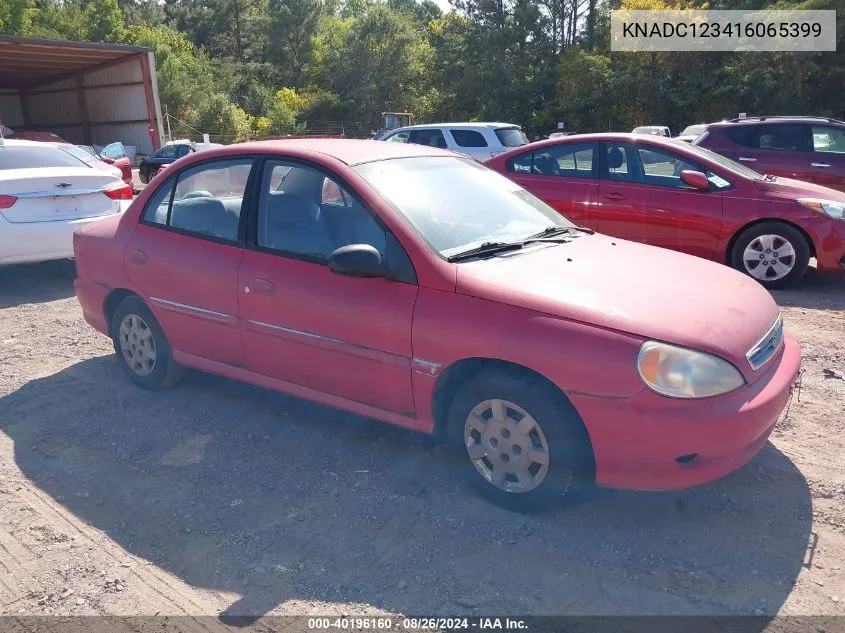 2001 Kia Rio VIN: KNADC123416065399 Lot: 40196160