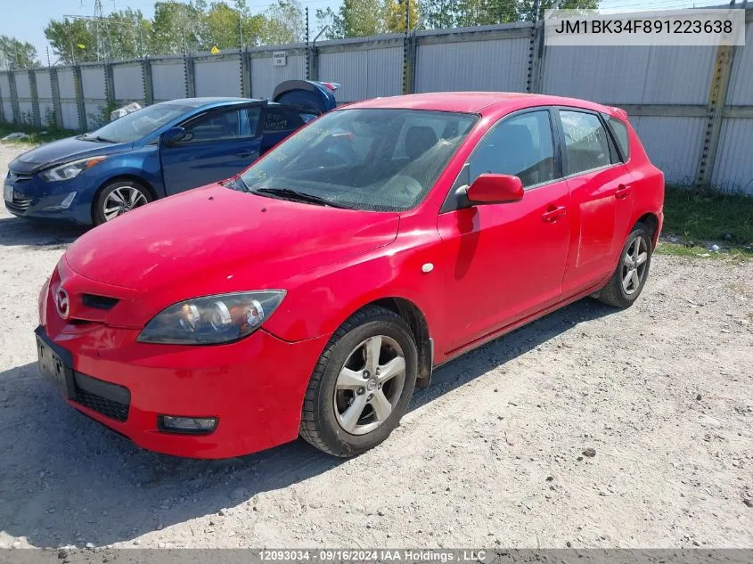 2009 Mazda Mazda3 VIN: JM1BK34F891223638 Lot: 12093034