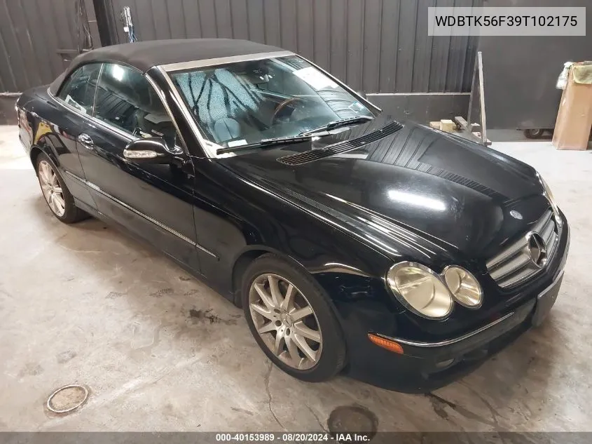 WDBTK56F39T102175 2009 Mercedes-Benz Clk 350