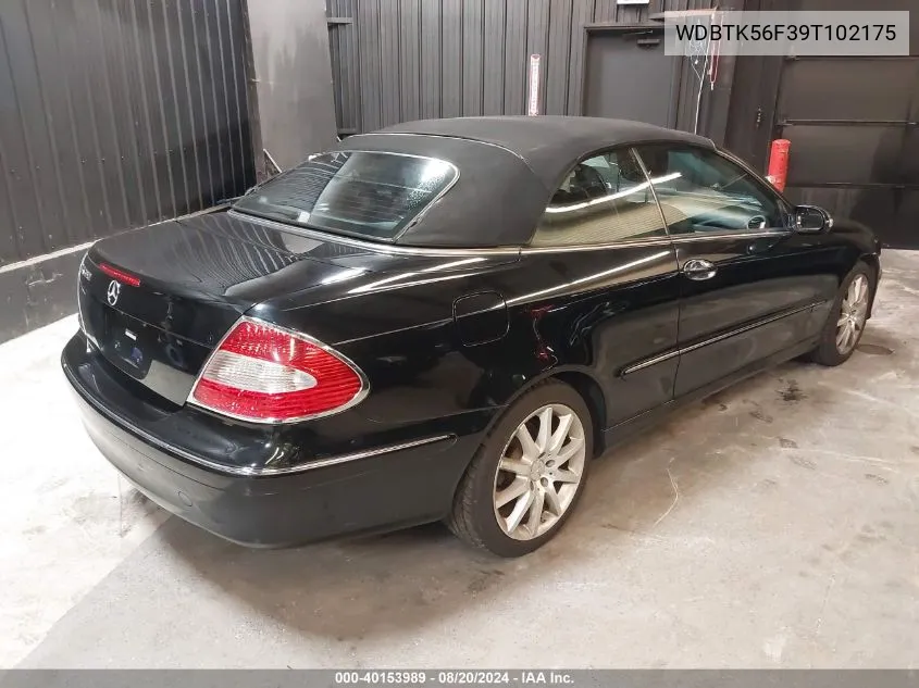 WDBTK56F39T102175 2009 Mercedes-Benz Clk 350