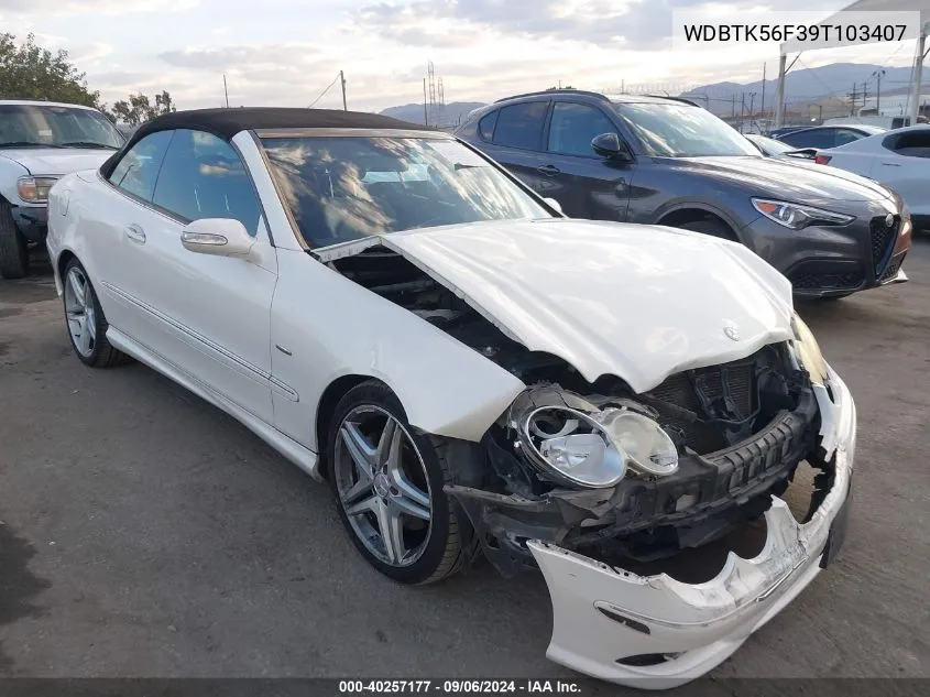 2009 Mercedes-Benz Clk 350 VIN: WDBTK56F39T103407 Lot: 40257177