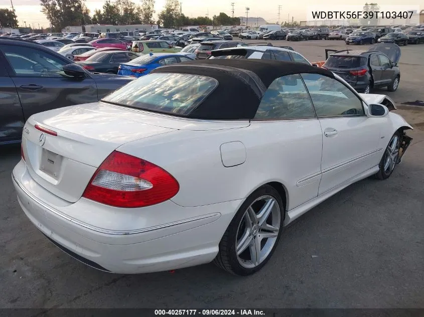 WDBTK56F39T103407 2009 Mercedes-Benz Clk 350