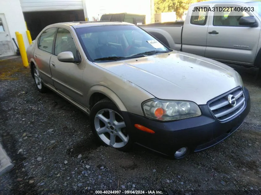 2002 Nissan Maxima Se VIN: JN1DA31D22T406903 Lot: 40244997