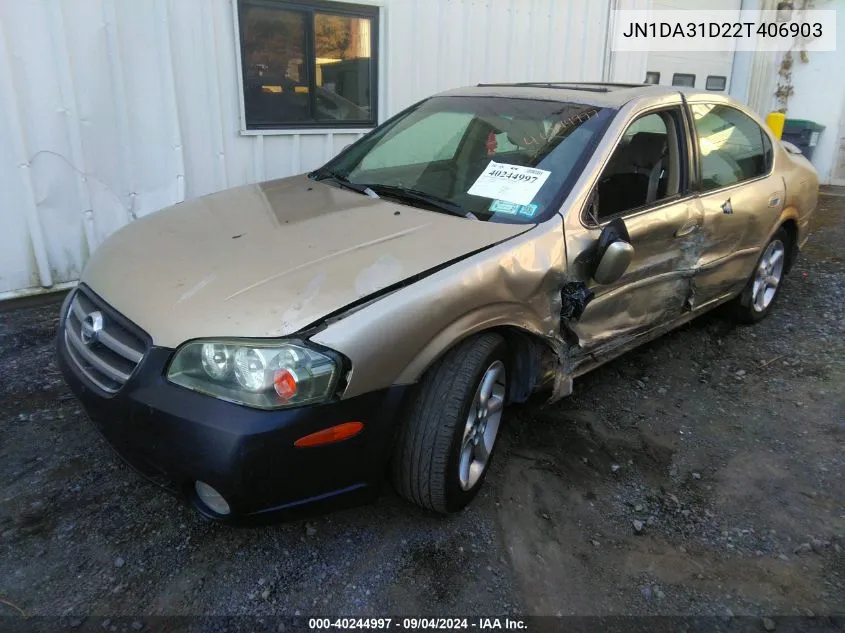 2002 Nissan Maxima Se VIN: JN1DA31D22T406903 Lot: 40244997