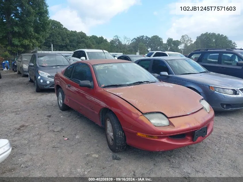 1996 Pontiac Sunfire Se VIN: 1G2JB1245T7571603 Lot: 40208939