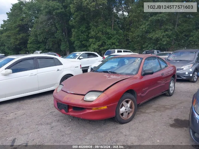 1996 Pontiac Sunfire Se VIN: 1G2JB1245T7571603 Lot: 40208939