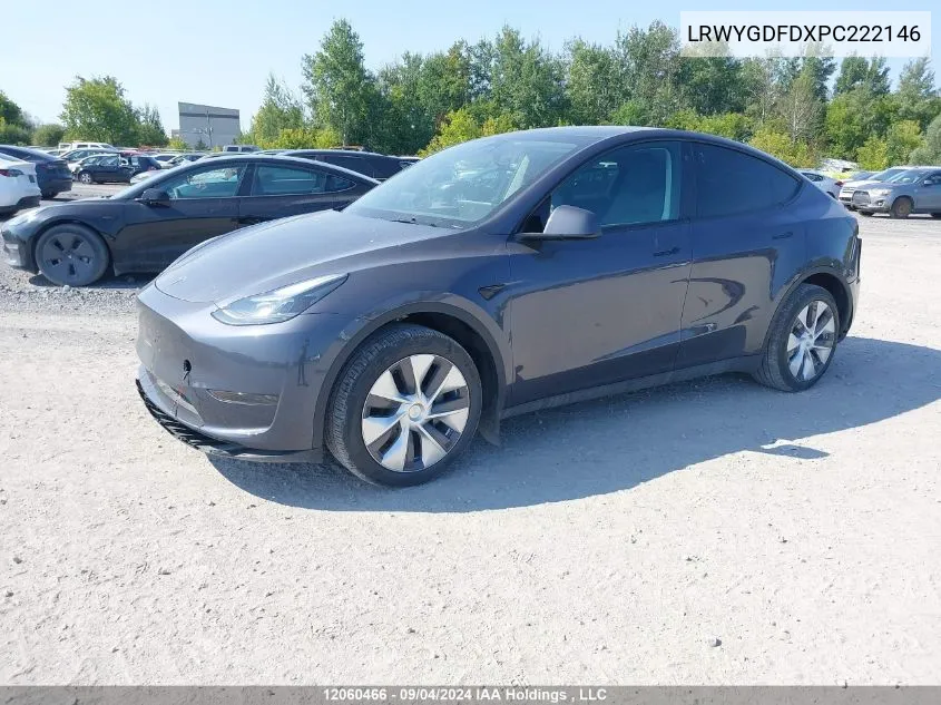 2023 Tesla Model Y VIN: LRWYGDFDXPC222146 Lot: 12060466