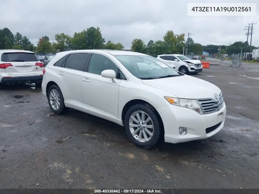 2009 Toyota Venza VIN: 4T3ZE11A19U012561 Lot: 40330442