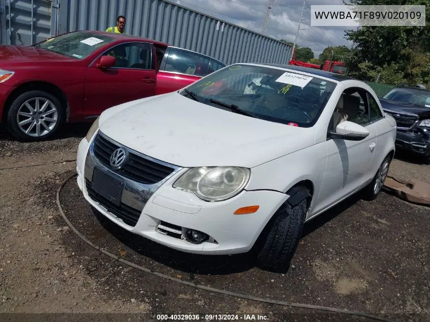 2009 Volkswagen Eos Komfort VIN: WVWBA71F89V020109 Lot: 40329036